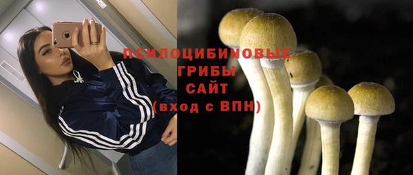 jwh Касимов