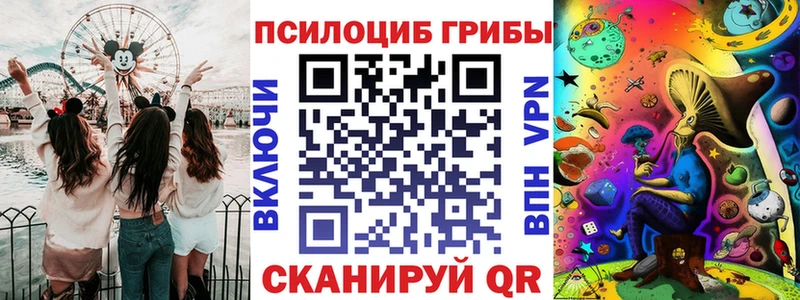 Купить закладки  Дальнегорск  Галлюциногенные грибы прущие грибы 
